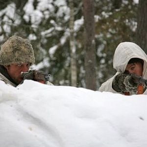 Bilder Operation Polarfuchs