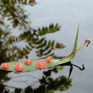 Bilder Marie Pérennou