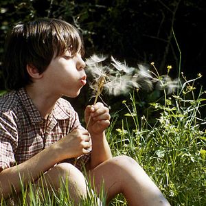 Bilder Marie Pérennou