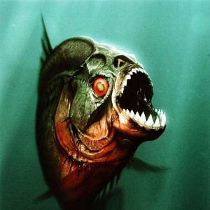 Bilder Piranha 2