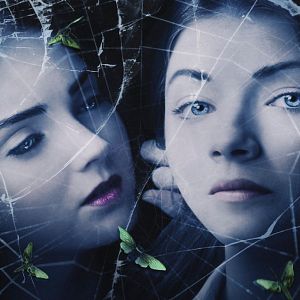 Bilder Die Sehnsucht der Falter