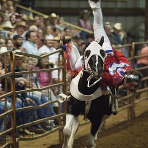 Bilder Cowgirls and Angels - Ein himmlisches Pferdeabenteuer
