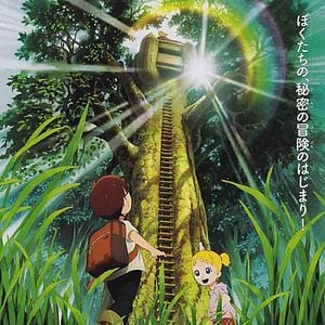 Bilder Magic Tree House