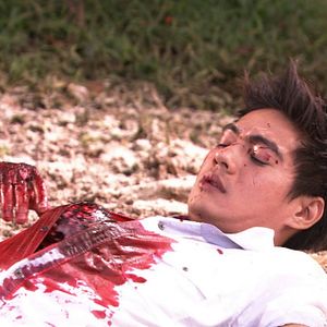 Bilder Virgin Beach Creature