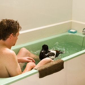 Bilder Love Birds - Ente gut alles gut