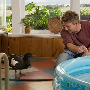 Bilder Love Birds - Ente gut alles gut