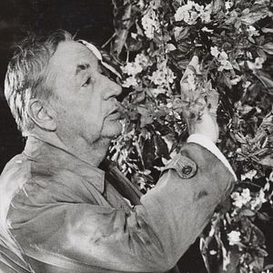 Bilder Allzu laute Einsamkeit