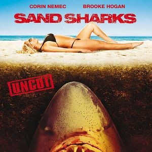 Bilder Sand Sharks