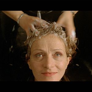 Bilder The Cat Vanishes