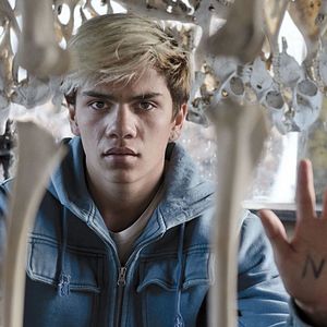 Bilder Top Of The Lake