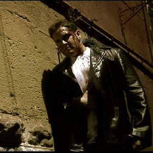 Bilder Donkey - Jeder Außenseiter hat irgendwann mal seinen Tag