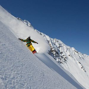 Bilder Art of Flight