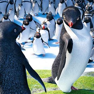 Bilder Happy Feet 2