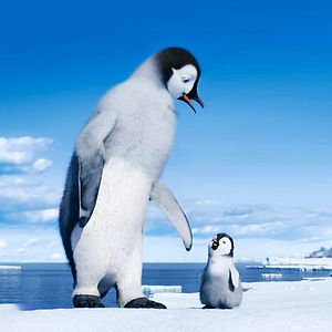 Bilder Happy Feet 2