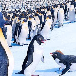 Bilder Happy Feet 2