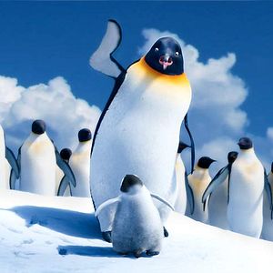 Bilder Happy Feet 2