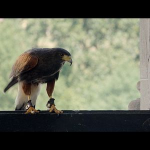 Bilder Das Haus Anubis - Pfad der 7 Sünden