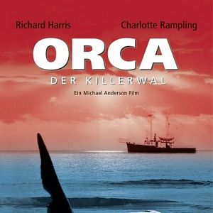 Bilder Orca, der Killerwal