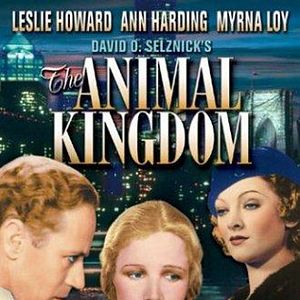 Bilder The Animal Kingdom