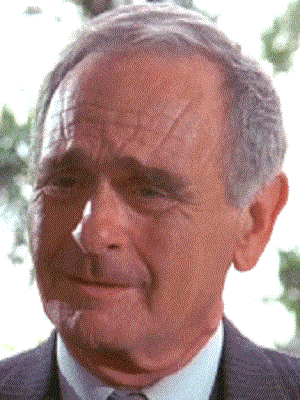 Bilder Norman Burton