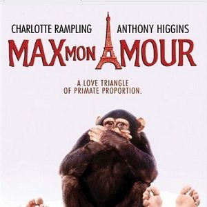 Bilder Max mon amour