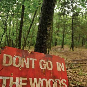 Bilder Don't Go in the Woods