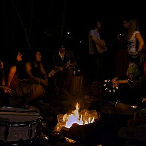 Bilder Don't Go in the Woods