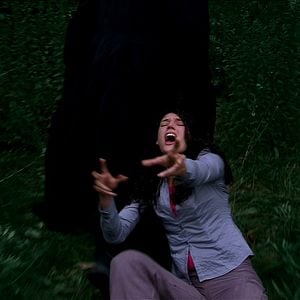 Bilder Don't Go in the Woods