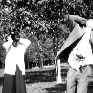 Bilder A travers les branches d'un arbre