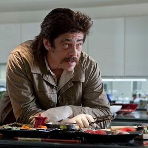 Bilder Benicio Del Toro