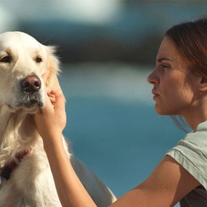 Bilder Seis puntos sobre Emma