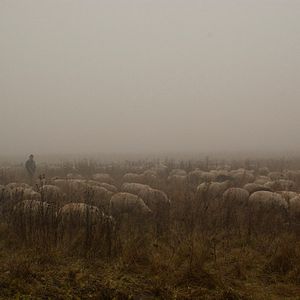 Bilder Off the Beaten Track