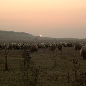 Bilder Off the Beaten Track