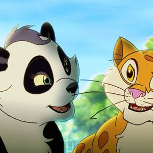 Bilder Kleiner starker Panda