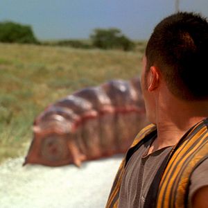 Bilder Monster Worms - Angriff der Monsterwürmer