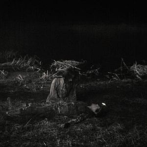 Bilder Night Fishing