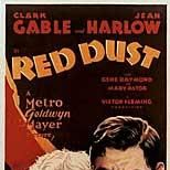 Bilder Dschungel im Sturm