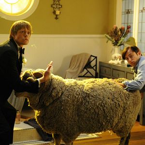 Bilder Die Trauzeugen