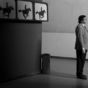 Bilder La vida útil