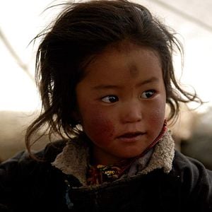 Bilder La Nuit Nomade