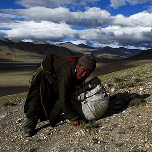 Bilder La Nuit Nomade