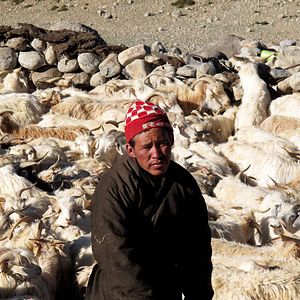 Bilder La Nuit Nomade