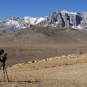 Bilder La Nuit Nomade