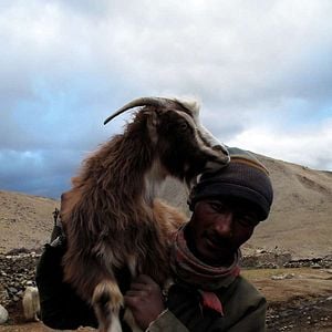 Bilder La Nuit Nomade