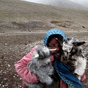 Bilder La Nuit Nomade