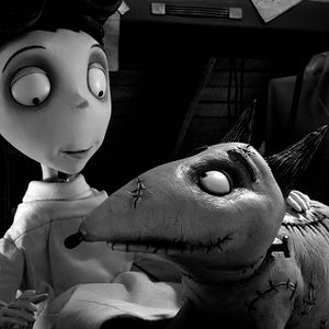 Bilder Frankenweenie
