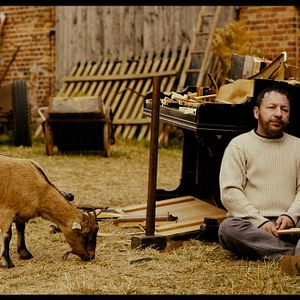 Bilder Sommer auf dem Land