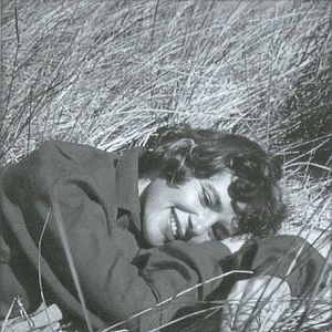 Bilder Black Butterflies