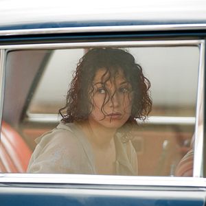 Bilder Black Butterflies