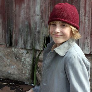 Bilder Nils Holgerssons wunderbare Reise